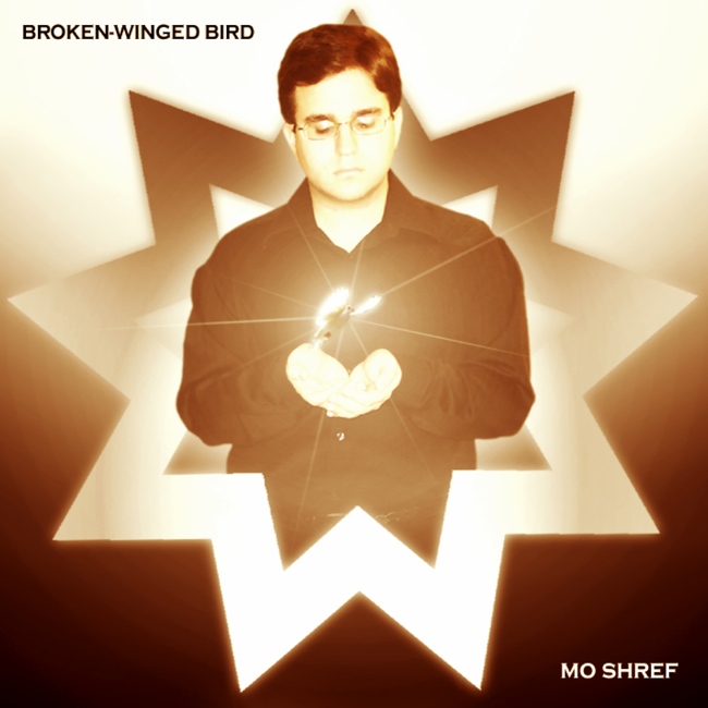 Broken-Winged Bird - Click Image to Close